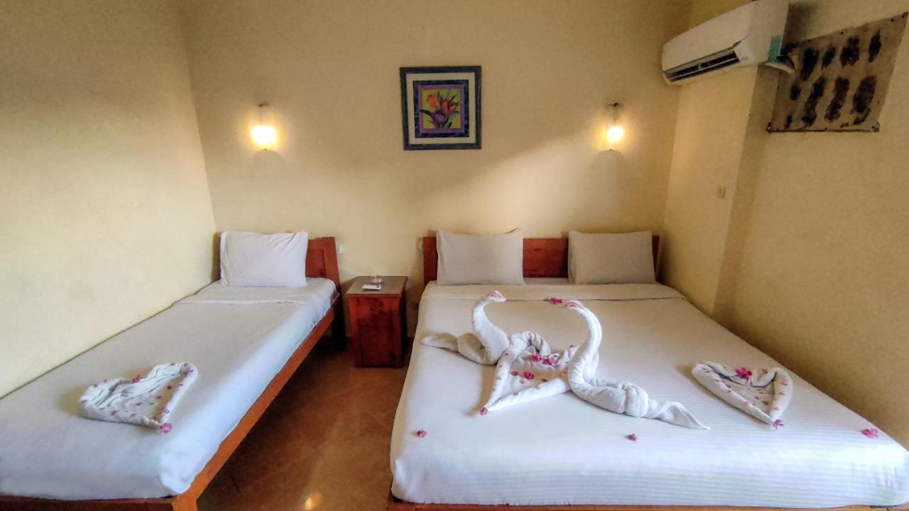 Golden Europe Hotel Dahab Dış mekan fotoğraf