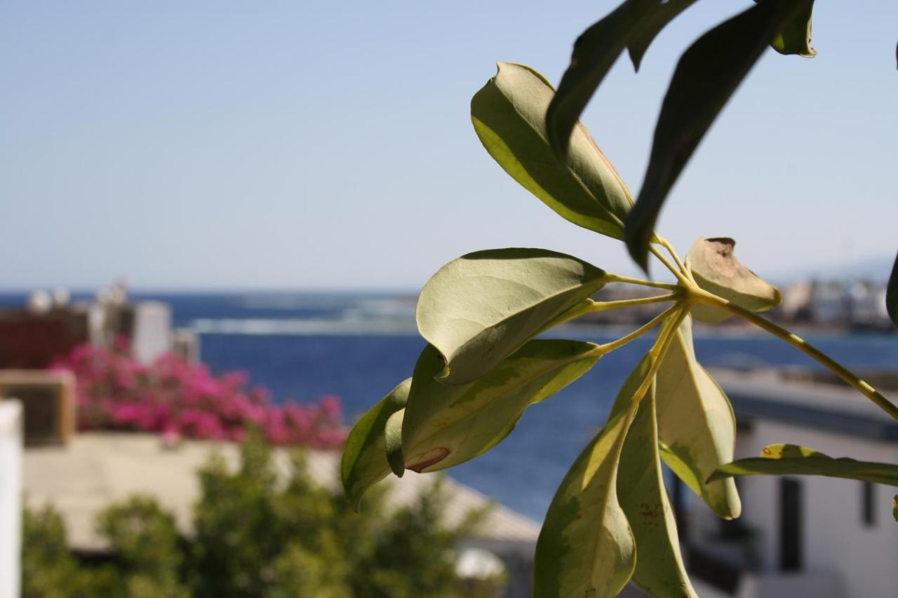 Golden Europe Hotel Dahab Dış mekan fotoğraf